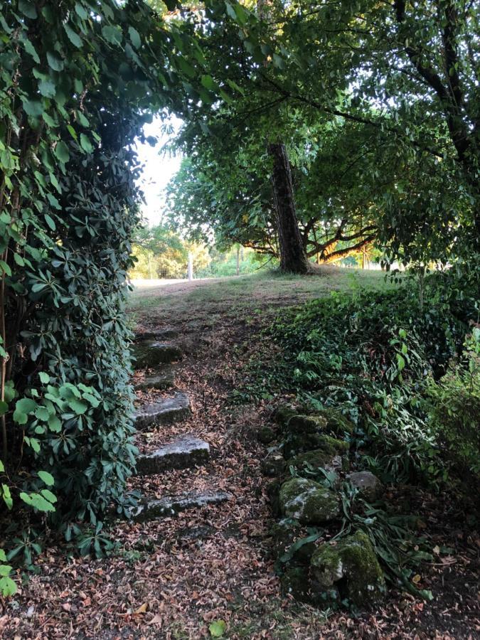 Saint-Aignan La Source De Bardon住宿加早餐旅馆 外观 照片